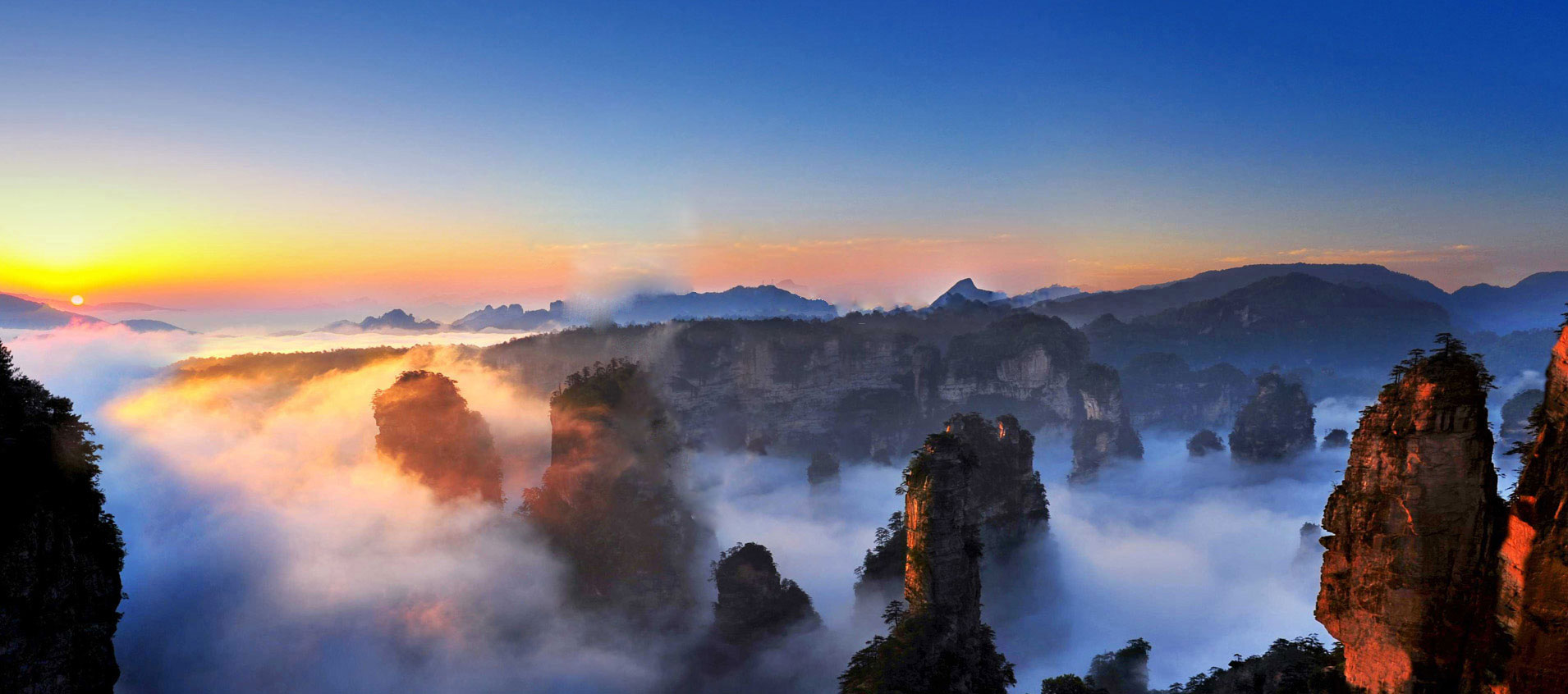 �����y�T(m��n)�ķ��